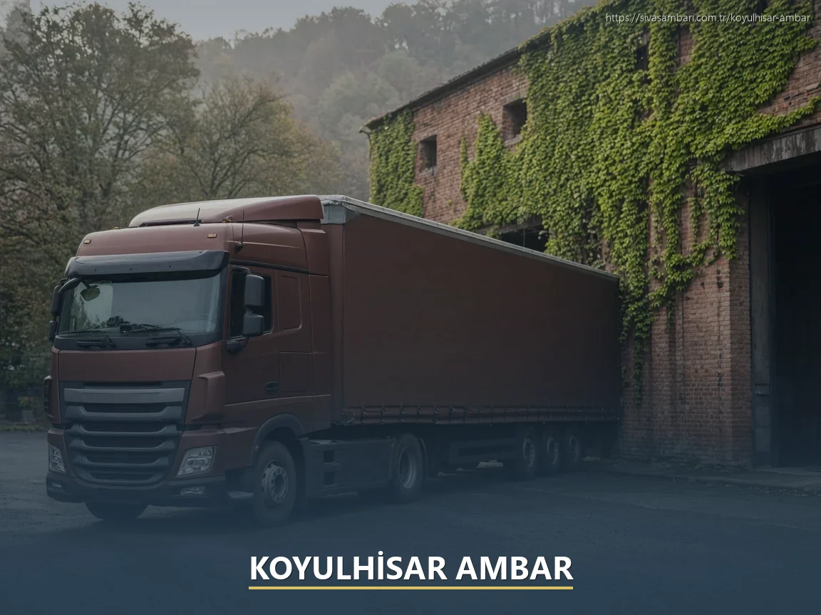 Koyulhisar Ambar